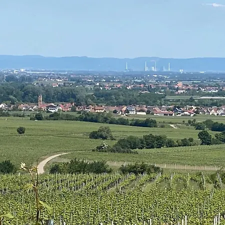 Апартаменты Pfalzzimmer