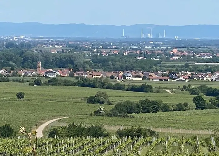 Apartamento Pfalzzimmer